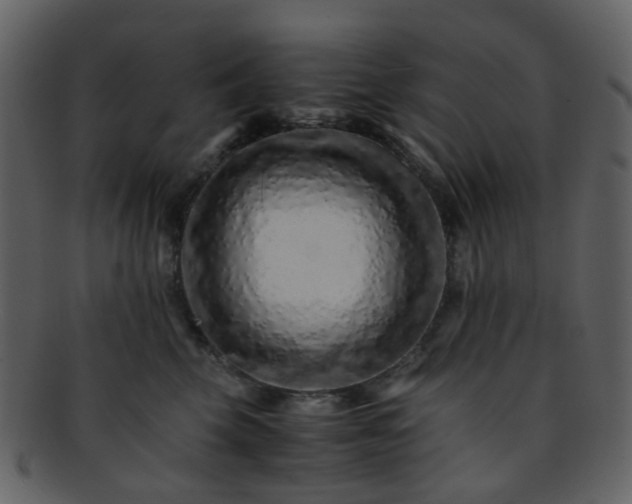 X0000093150569200710171353