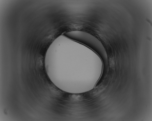 X0000093150570200710171353