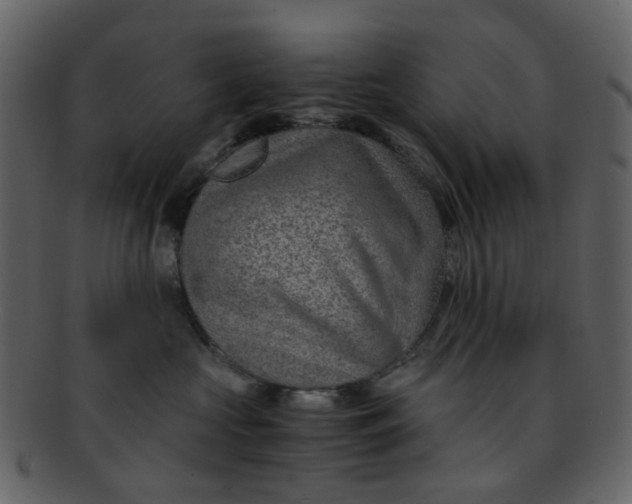 X0000093150573200710171353