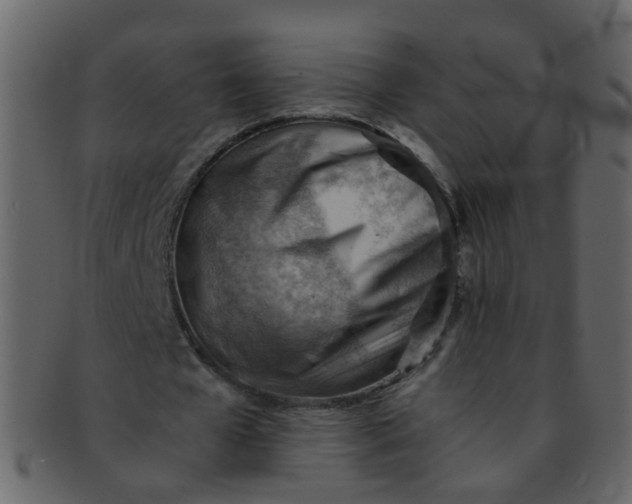 X0000093150577200710171352