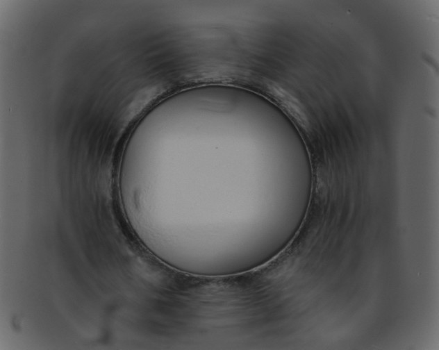 X0000093150578200710171352