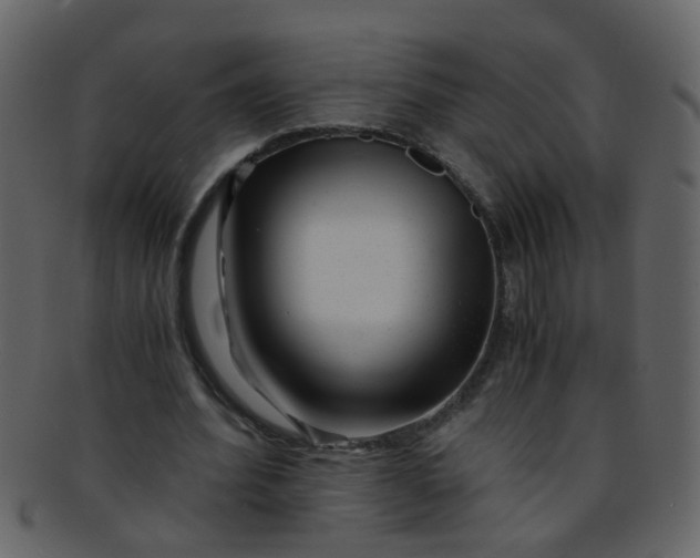 X0000093150580200710171352