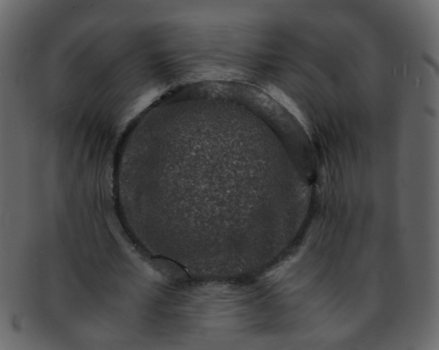 X0000093150581200710171352