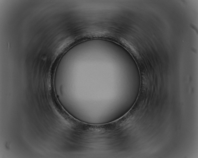 X0000093150582200710171352