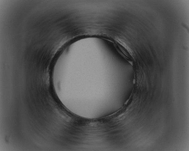 X0000093150584200710171352