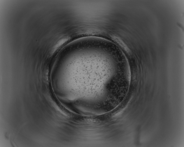 X0000093150585200710171352