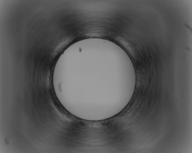 X0000093150586200710171352