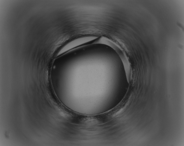 X0000093150589200710171352