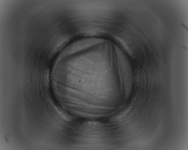 X0000093150590200710171352