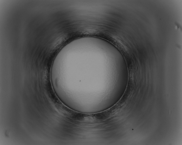 X0000093150591200710171352