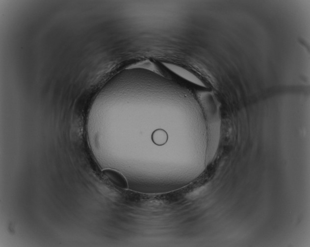 X0000093150593200710171352