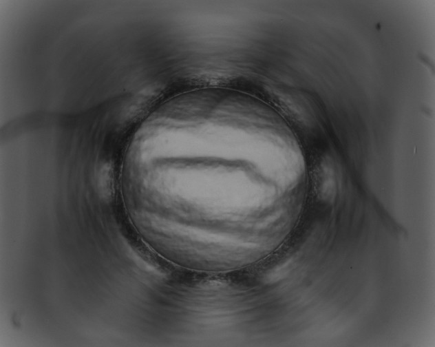 X0000093150594200710171352