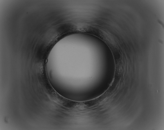 X0000093150595200710171352