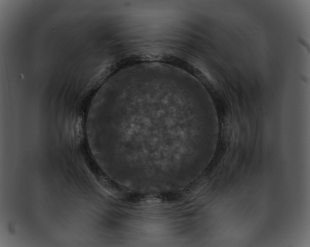 X0000093150598200710171352