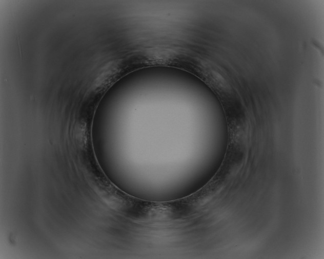 X0000093150599200710171352