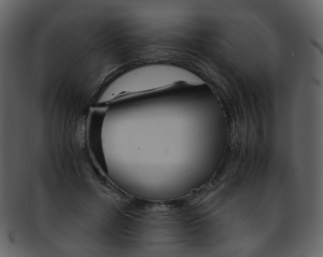 X0000093150600200710171352