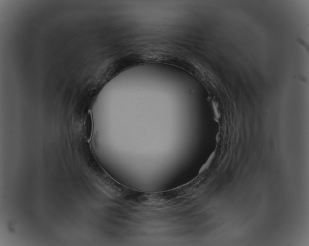 X0000093150601200710171352