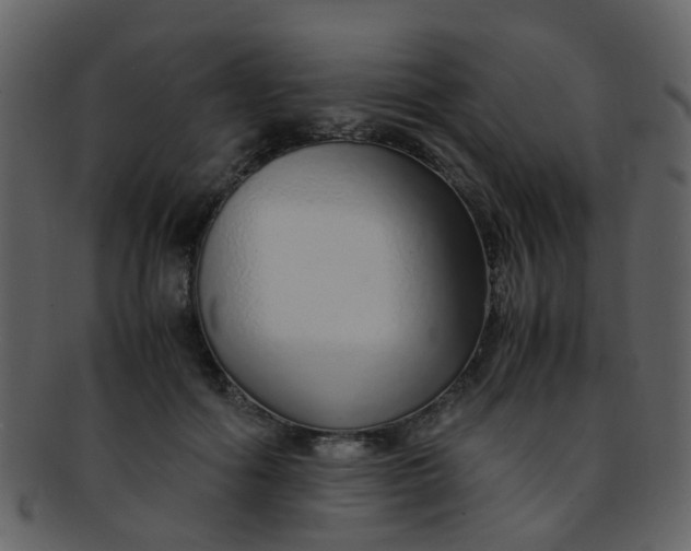 X0000093150602200710171352