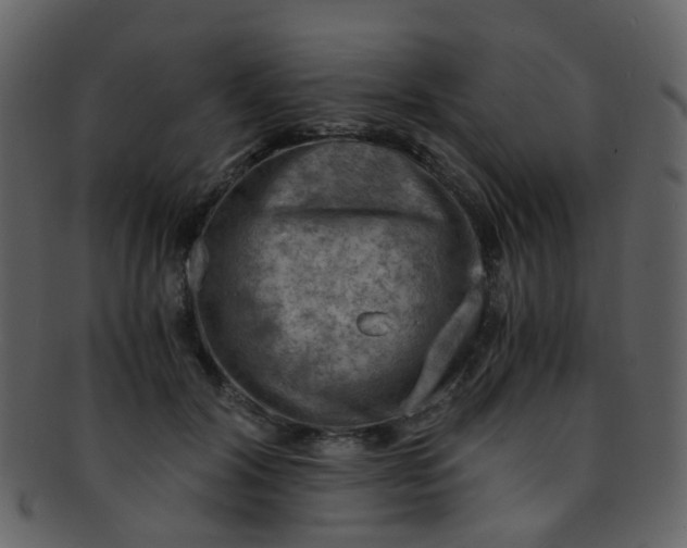 X0000093150604200710171352