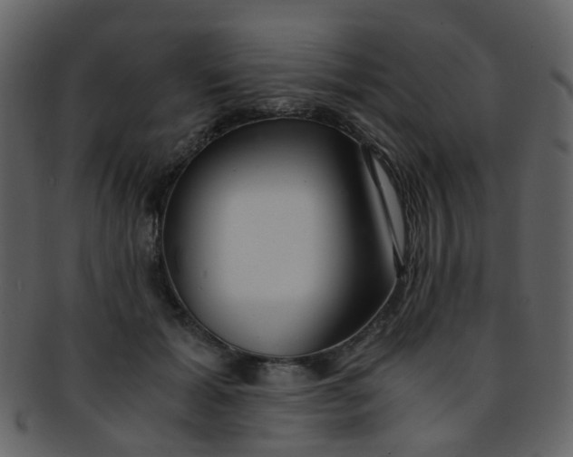 X0000093150605200710171352