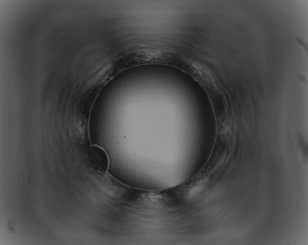 X0000093150607200710171352