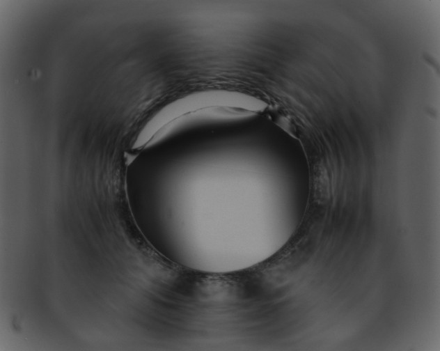 X0000093150608200710171352