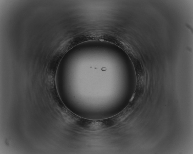 X0000093150609200710171352