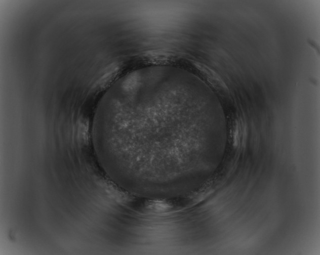 X0000093150610200710171352