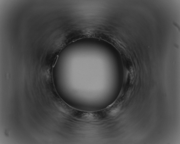 X0000093150611200710171352