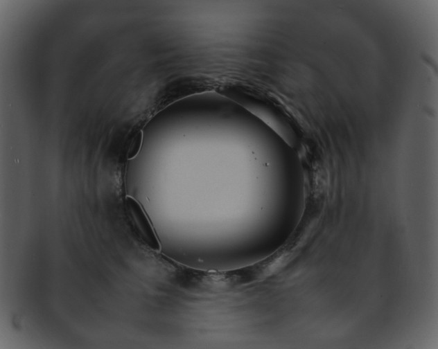 X0000093150613200710171352