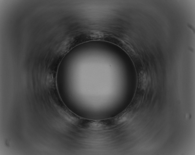 X0000093150614200710171352