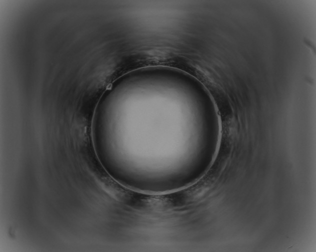 X0000093150615200710171352