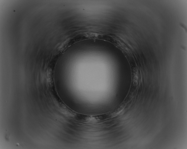 X0000093150616200710171352