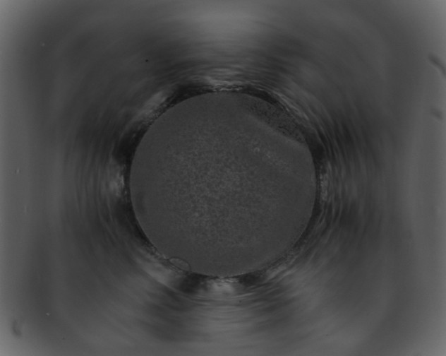 X0000093150618200710171352