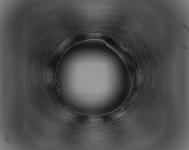 X0000093150619200710171352