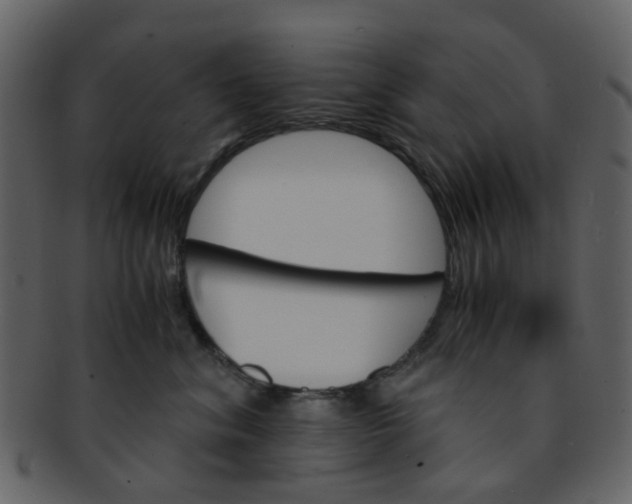 X0000093150620200710171352