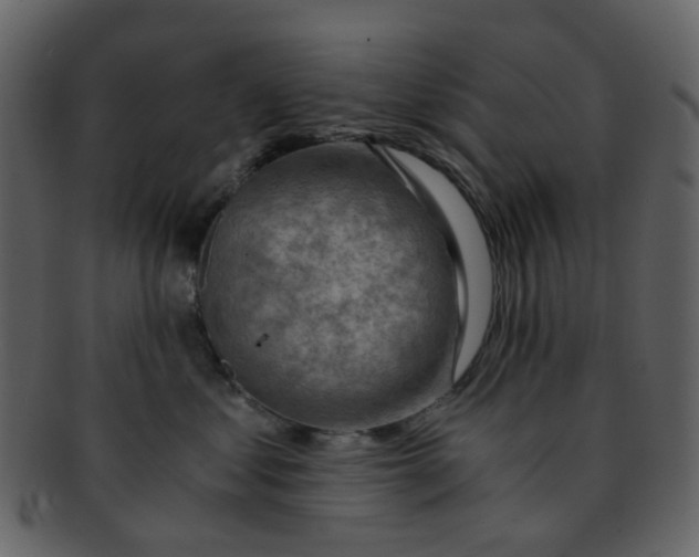 X0000093150621200710171352