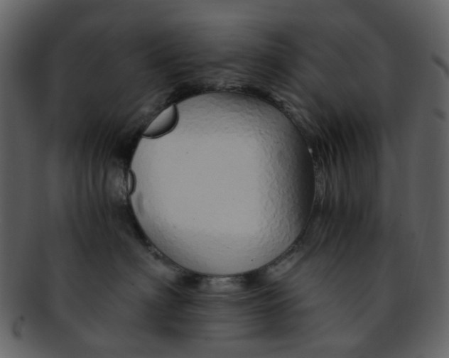 X0000093150622200710171352