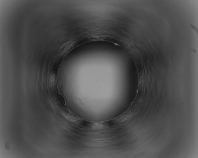 X0000093150623200710171352