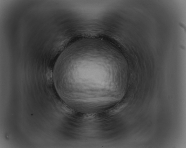 X0000093150624200710171352