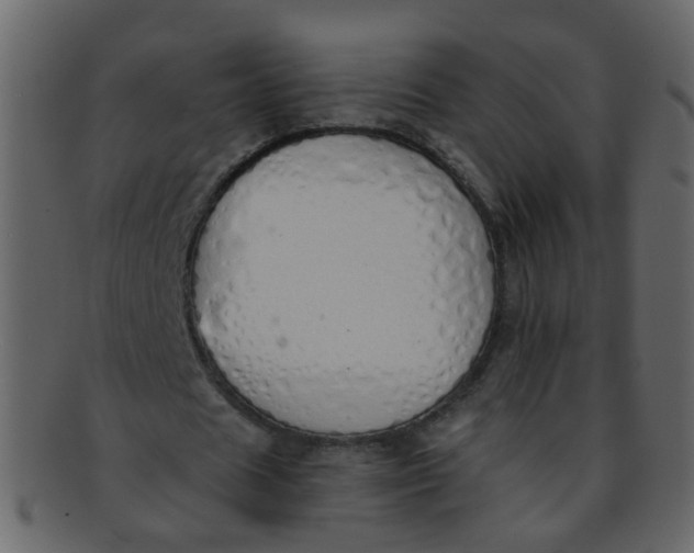 X0000093150625200710171351