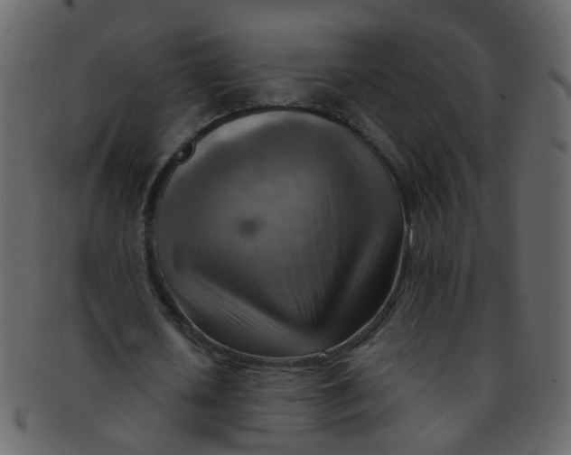 X0000093150626200710171351