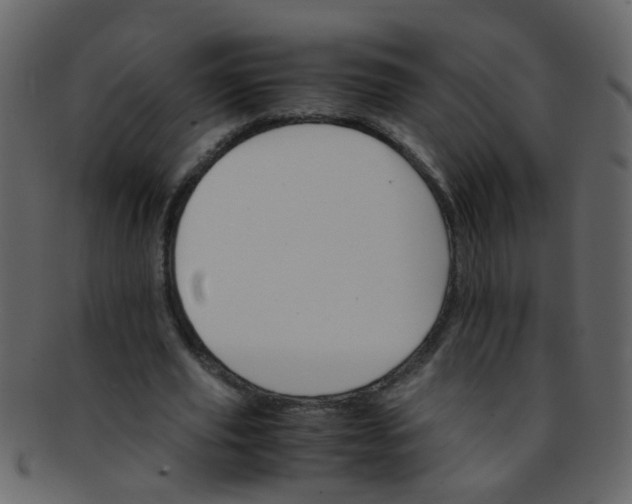 X0000093150629200710171351