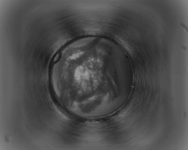 X0000093150630200710171351