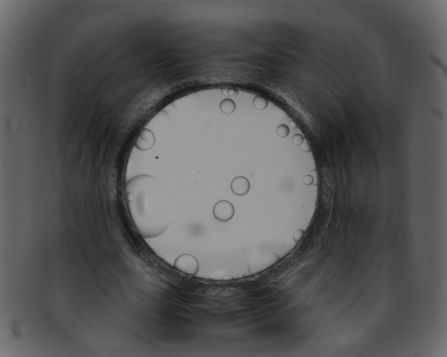 X0000093150631200710171351