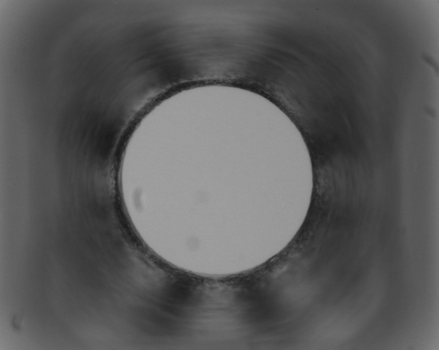 X0000093150632200710171351