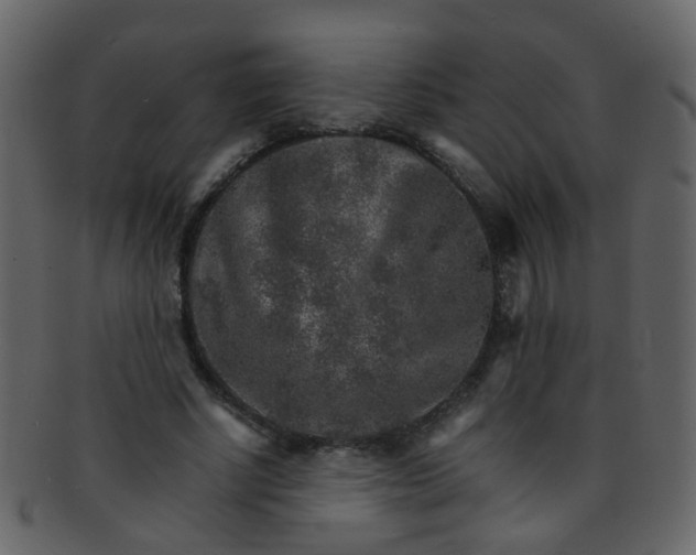 X0000093150634200710171351