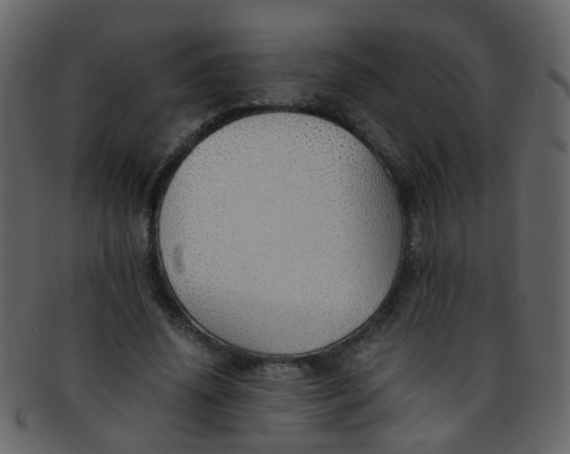 X0000093150636200710171351