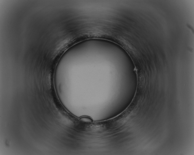 X0000093150638200710171351