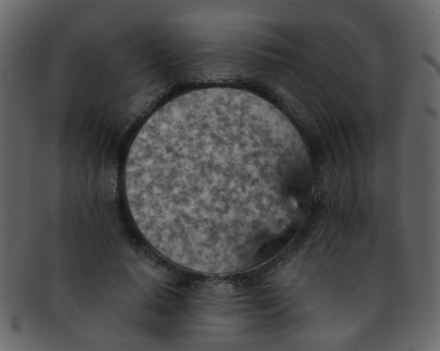 X0000093150640200710171351